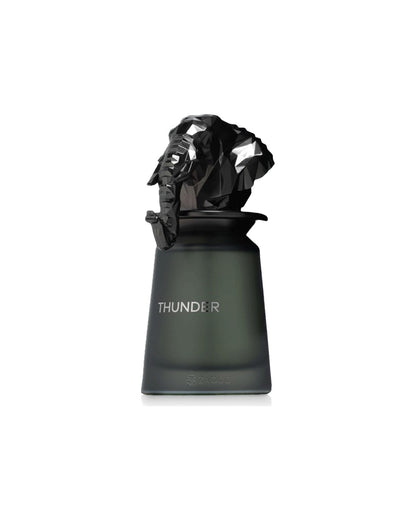 Flacone del profumo French Avenue Thunder Eau de Parfum 100ml unisex su sfondo bianco