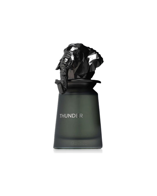 Flacone del profumo French Avenue Thunder Eau de Parfum 100ml unisex su sfondo bianco